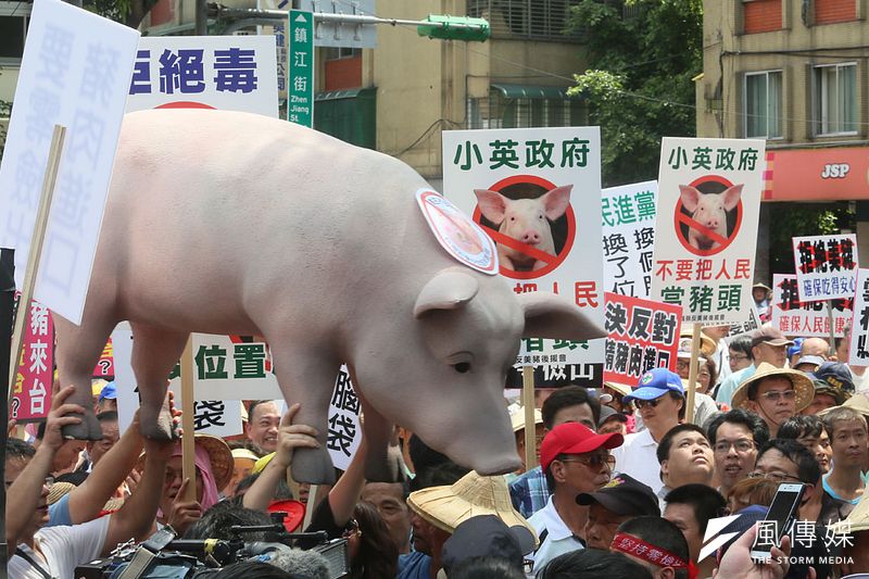 蔡政府處理美豬進口,被罵換了位置換了腦袋。(柯承惠攝)