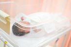 日本熊本縣慈惠病院在15年間救援161個弱勢寶寶。（Pakutaso）
