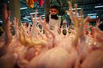 馬來西亞寄出雞肉出口禁令，使鄰國新加坡的國民美食海南雞飯面臨供應危機。（AP）