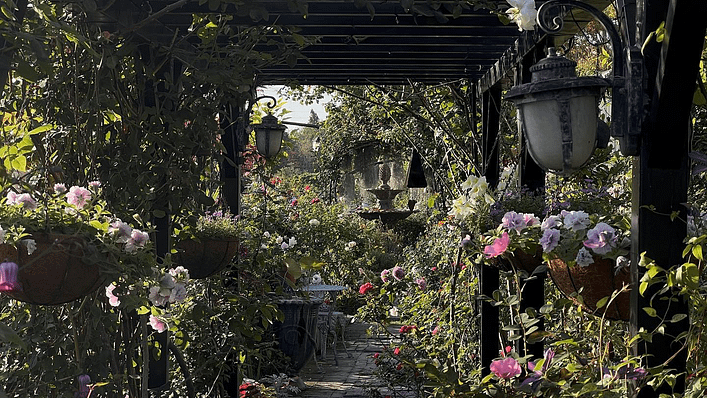 彰化有許多善用綠意與田園景觀的特色店面(圖/取自波粼Bling臉書)