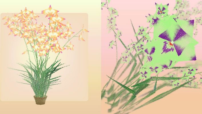 Cattleya #228 & Cattleya #237(Artist/Ben Snell,圖/藝動區塊、Art Blocks 提供)