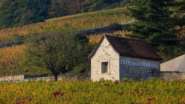 位於法國布根地(Bourgogne) 的隆布萊園 (Clos des Lambrays)(圖/Lambrays)