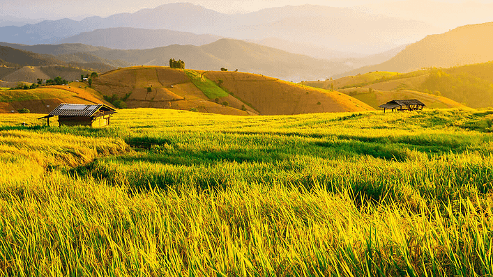 圖片來源:花蓮觀光資訊網