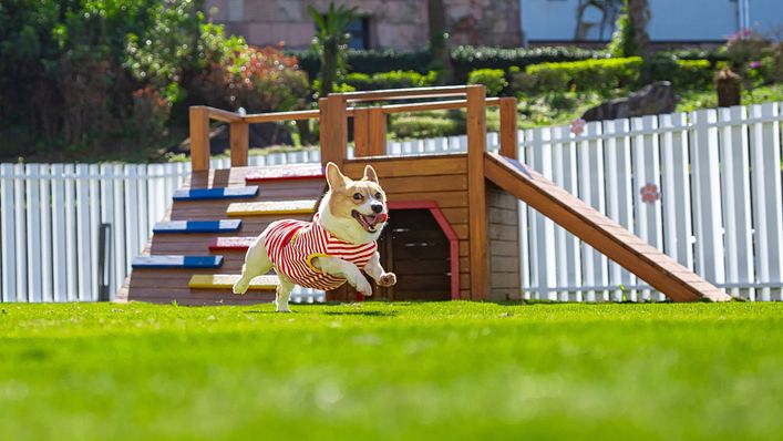 (圖/大溪笠復威斯汀 提供)