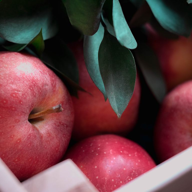 30 年後的蘋果，會和現在有什麼不同？（圖／ Гульшат Бадалова @Unsplash）