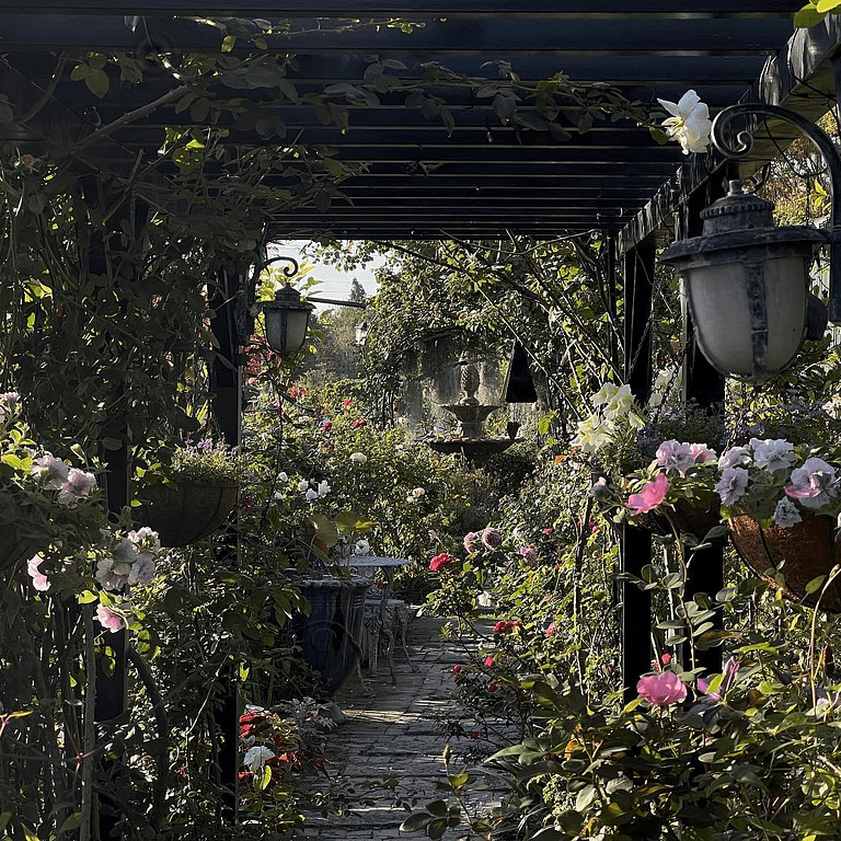 彰化有許多善用綠意與田園景觀的特色店面(圖/取自波粼Bling臉書)