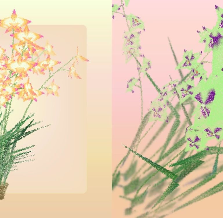 Cattleya #228 & Cattleya #237(Artist/Ben Snell,圖/藝動區塊、Art Blocks 提供)