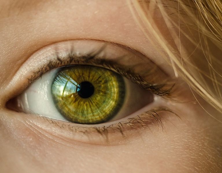 Elon Musk 要用大腦晶片修復視力、特斯拉的影響力下滑,以及其他一週商業大事(圖/Skitterphoto@pixabay)