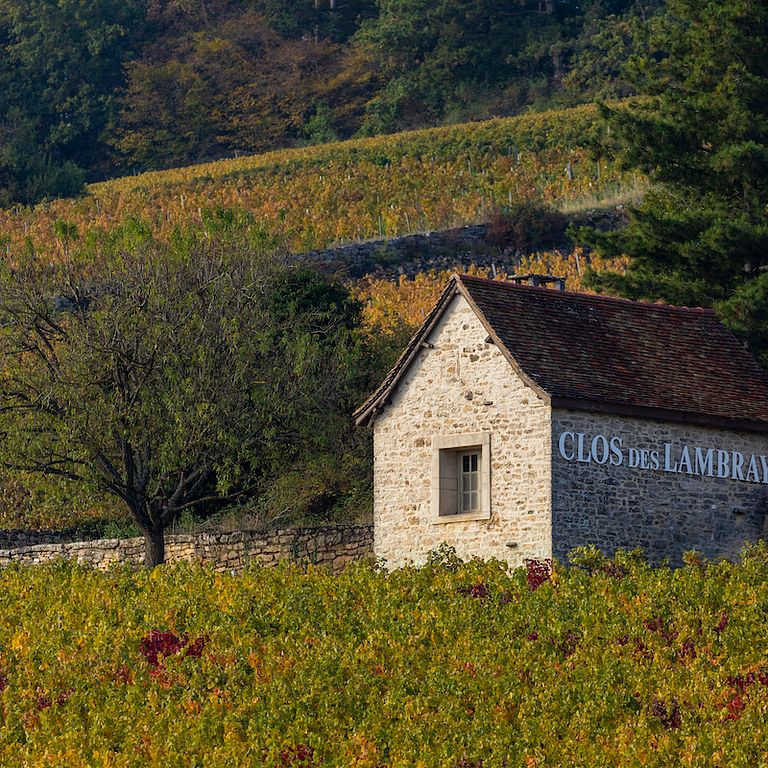 位於法國布根地(Bourgogne) 的隆布萊園 (Clos des Lambrays)(圖/Lambrays)
