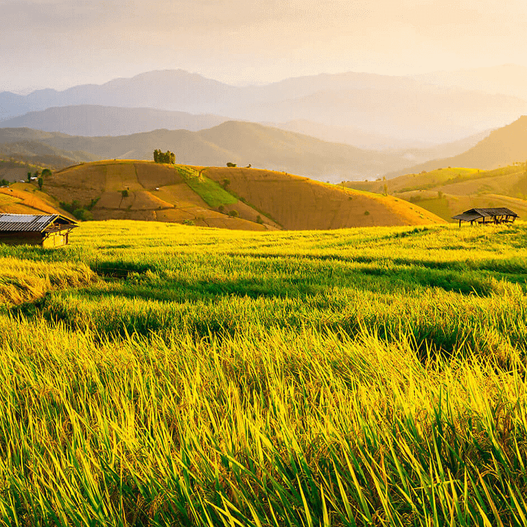 圖片來源:花蓮觀光資訊網
