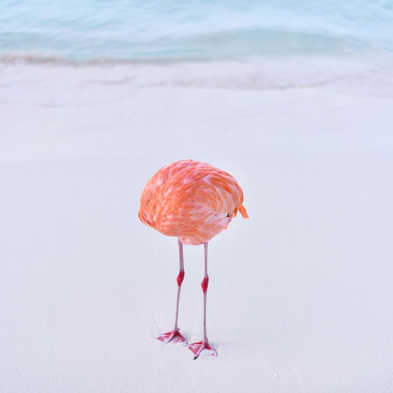 AI:有人類偷偷混進來5