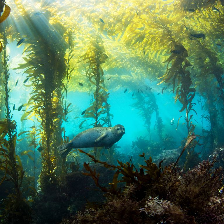 Tiffany & Co. 新計劃