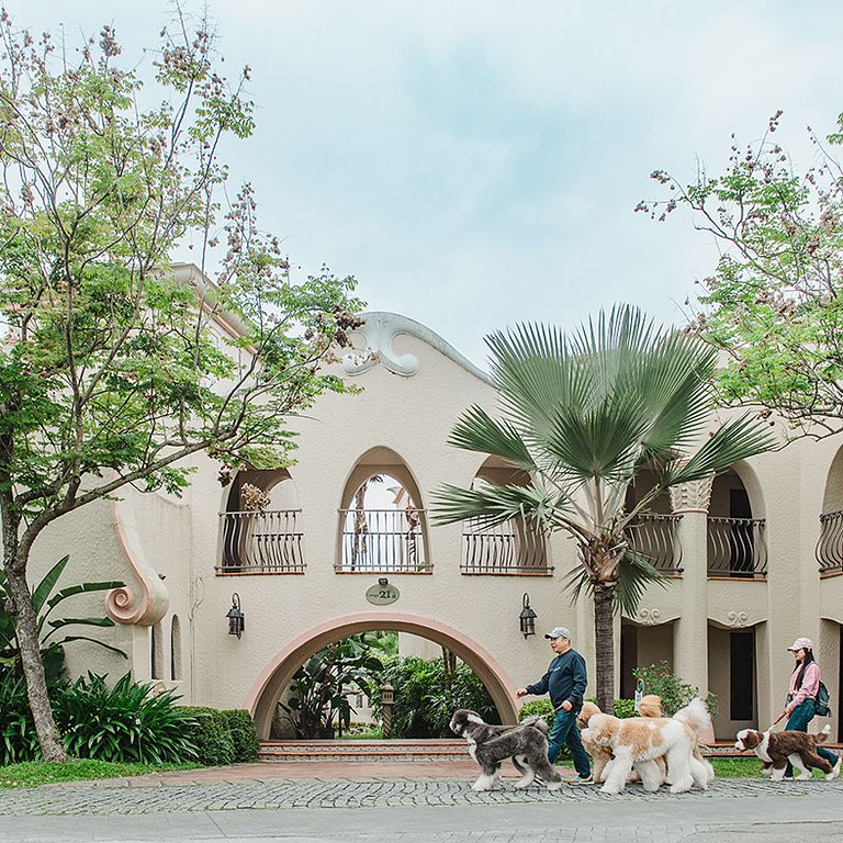 (圖/理想大地 提供)